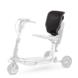 Orthopaedic Backrest